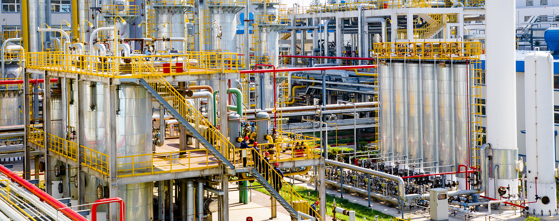 漂亮今年会官网