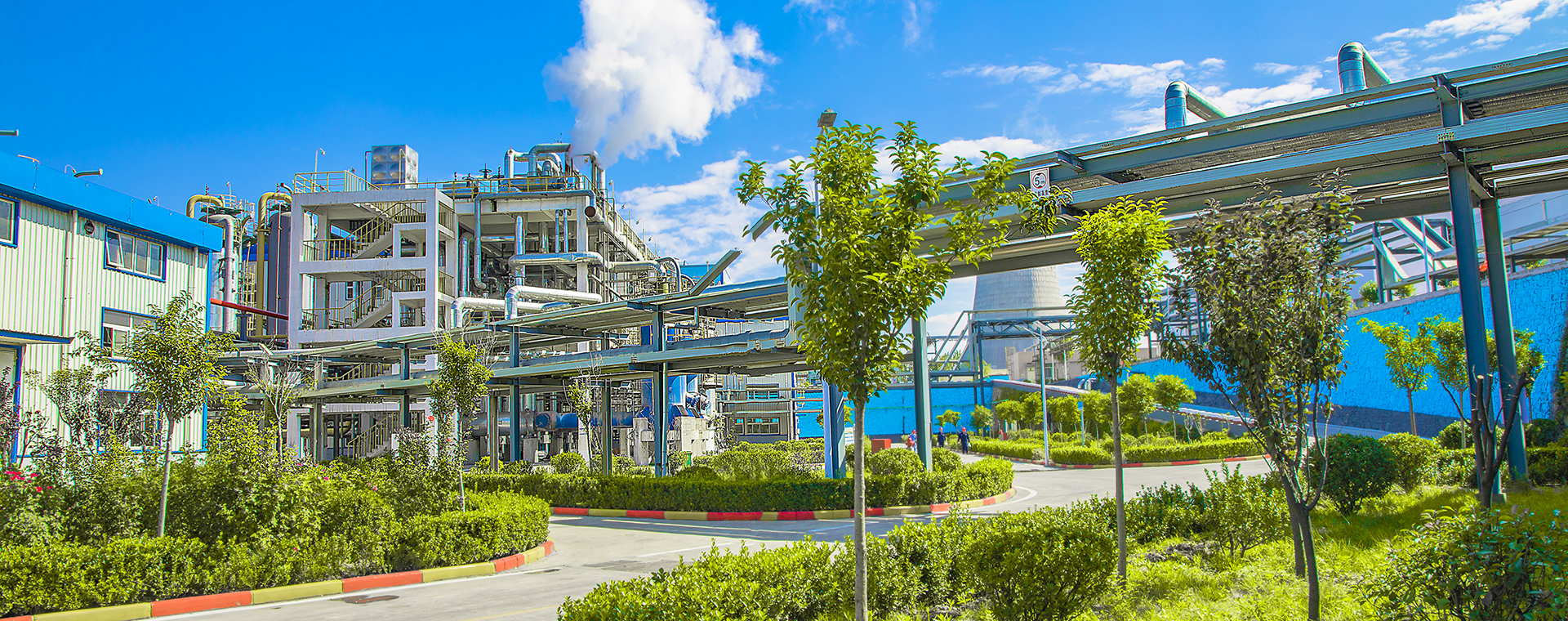 漂亮今年会官网